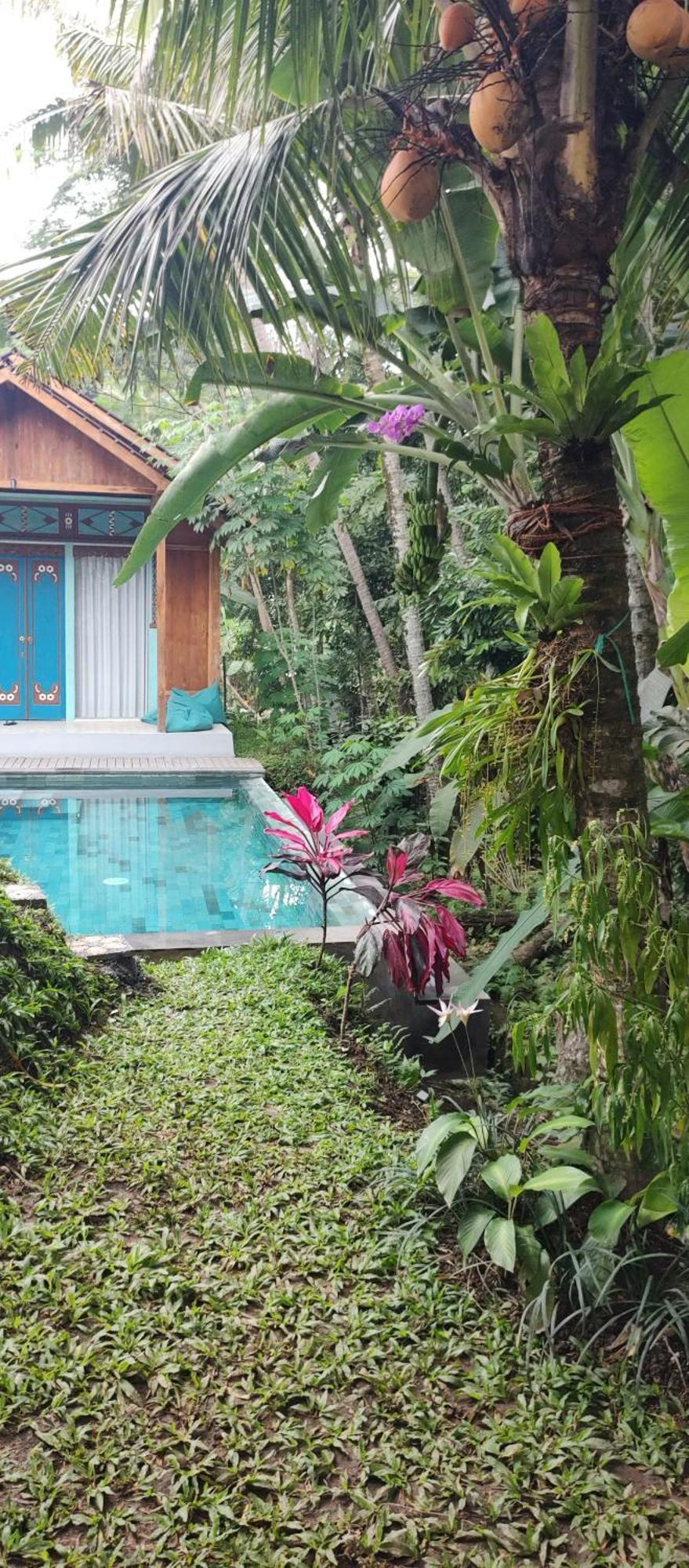 Rumah Guci Ubud  Exterior photo