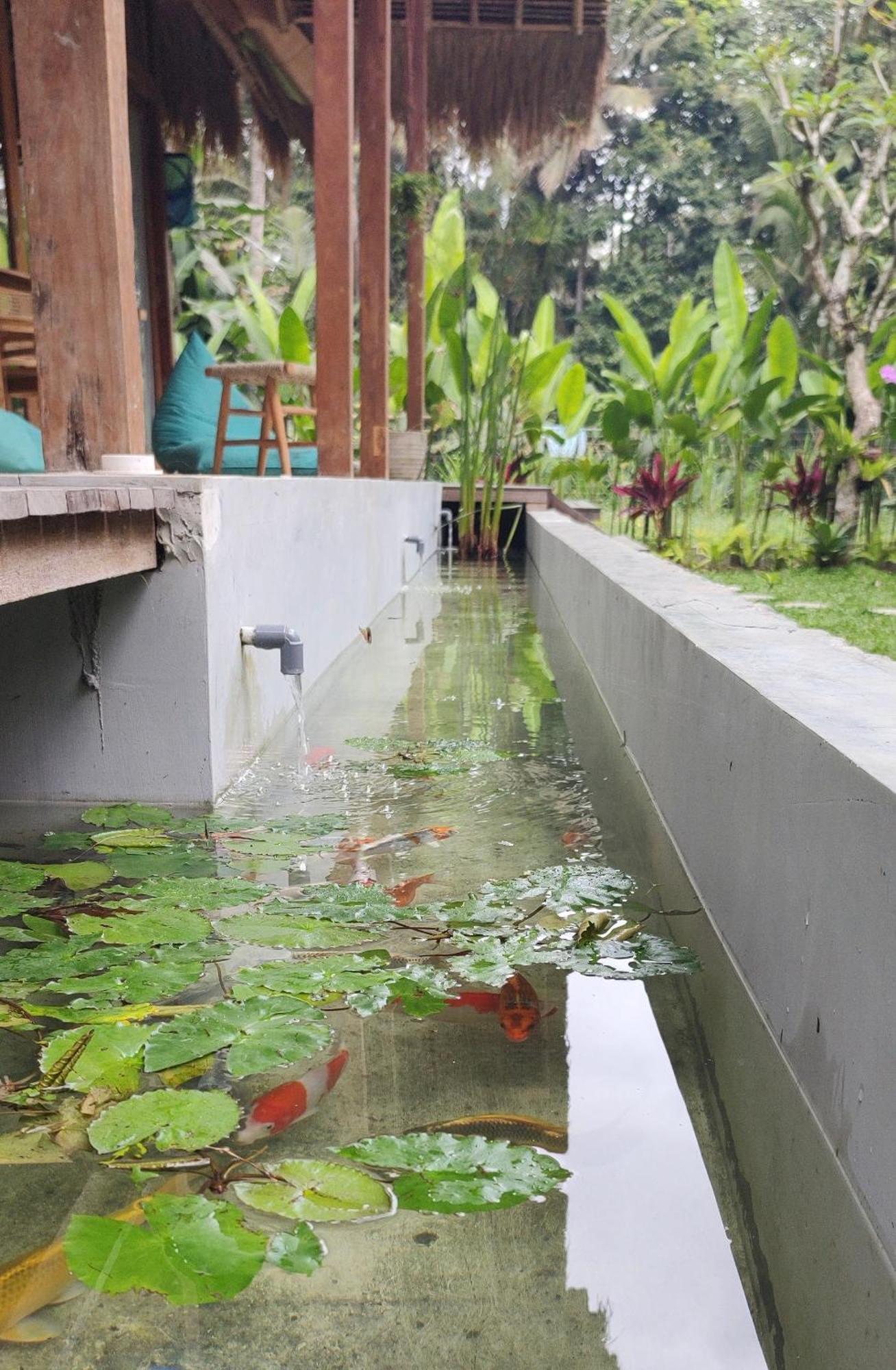 Rumah Guci Ubud  Exterior photo